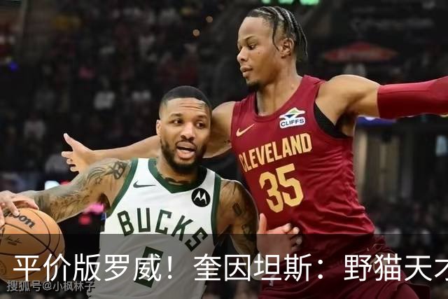 平价版罗威！奎因坦斯：野猫天才内线 存伤病隐患 罚球致敬米切罗